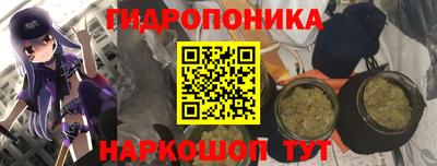 ПСИЛОЦИБИНОВЫЕ ГРИБЫ Обь