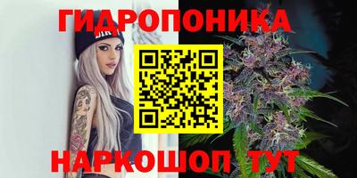 ПСИЛОЦИБИНОВЫЕ ГРИБЫ Обь
