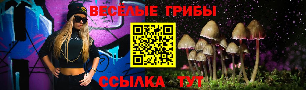 Славянск-на-Кубани  Галлюциногенные грибы Cubensis  Вход с VPN 